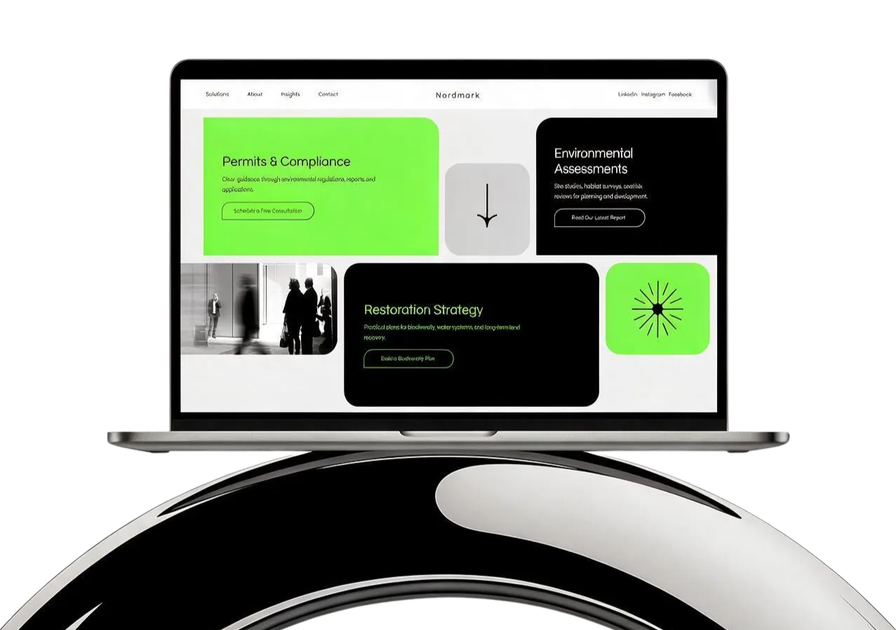 Website project preview
